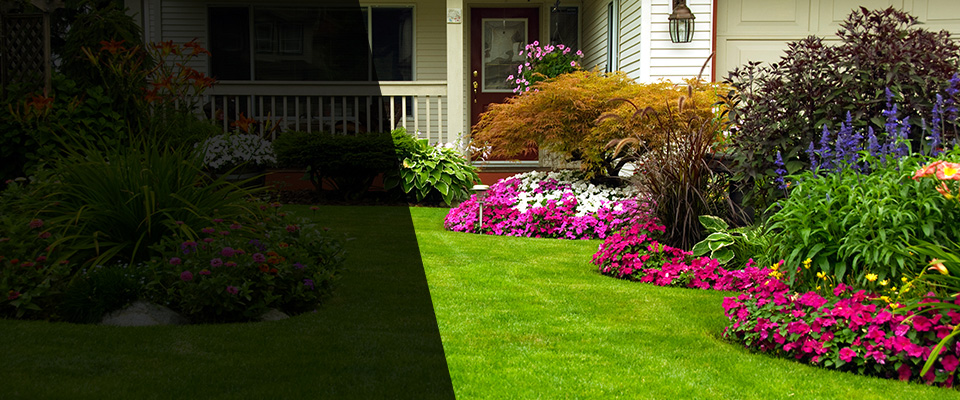 Belmont Landscapers
